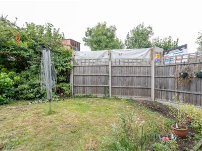 Picture 20